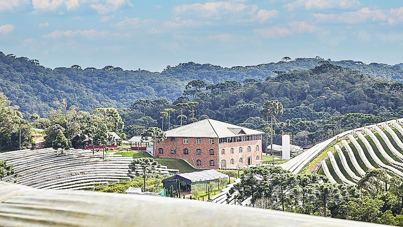  - Vinícola Ferreira