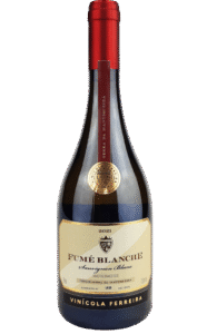Sauvignon Blanc – Fumé Blanche